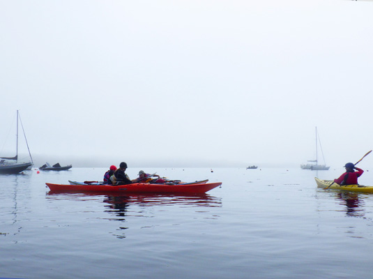 Two men in kayaks in the fog